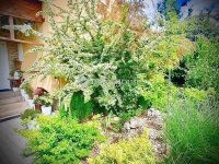 Eladó családi ház, XVII. kerületben 127 M Ft, 5 szobás