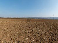 Eladó mezogazdasagi ingatlan, Isztiméren 55.64 M Ft