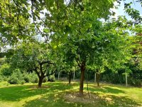 Eladó telek, Nagykanizsán 2.5 M Ft / költözzbe.hu