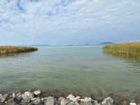 Eladó telek, Balatonfenyvesen 595 M Ft / költözzbe.hu