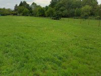 Eladó telek, Balatonberényben 45 M Ft / költözzbe.hu