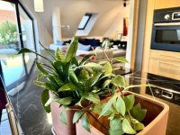 Eladó téglalakás, VI. kerületben 197 M Ft, 3 szobás