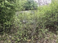 Eladó telek, Pilismaróton 7.9 M Ft / költözzbe.hu