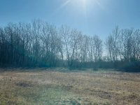 Eladó mezogazdasagi ingatlan, Debrecenben 20 M Ft