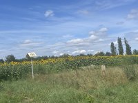 Eladó mezogazdasagi ingatlan, Székesfehérvárott 75 M Ft