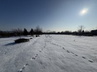 Eladó telek, Bicskén 18.9 M Ft / költözzbe.hu