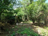 Eladó nyaraló, Ráckevén 17 M Ft, 1 szobás