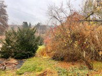 Eladó telek, Domonyban 47.9 M Ft / költözzbe.hu