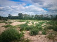 Eladó telek, Alsónémediben 398 M Ft / költözzbe.hu