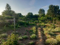 Eladó telek, Hajdúsámsonon 6.5 M Ft / költözzbe.hu