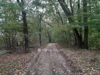 Eladó mezogazdasagi ingatlan