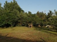 Eladó mezogazdasagi ingatlan, Kecskeméten 4.6 M Ft
