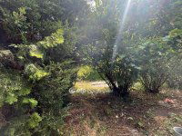 Eladó családi ház, Érden 144.9 M Ft, 4 szobás