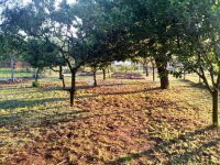 Eladó nyaraló, Gárdonyban 34.9 M Ft / költözzbe.hu