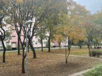 Eladó panellakás, XV. kerületben 55.9 M Ft, 1+1 szobás