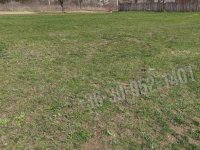 Eladó telek, Budakeszin 120 M Ft / költözzbe.hu