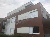 Kiadó családi ház, albérlet, XI. kerületben 1600 E Ft / hó