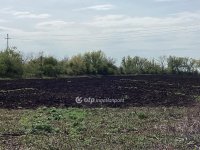 Eladó mezogazdasagi ingatlan, Gyomaendrődön 62.7 M Ft
