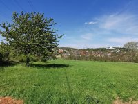 Eladó telek, Budakeszin 90 M Ft / költözzbe.hu