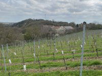 Eladó mezogazdasagi ingatlan, Villányban 4.4 M Ft