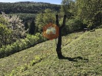 Eladó telek, Orfűn 9.5 M Ft / költözzbe.hu