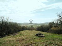 Eladó telek, Balatonszőlősön 40 M Ft / költözzbe.hu