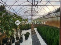 Eladó telek, Kiskunfélegyházán 16.5 M Ft / költözzbe.hu