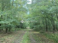 Eladó telek, Vitnyéden 138 M Ft / költözzbe.hu