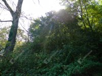 Eladó telek, Zalaegerszegen 9.9 M Ft / költözzbe.hu