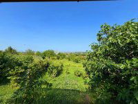 Eladó családi ház, Etyeken 220 M Ft, 4 szobás