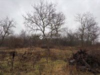 Eladó telek, Őrbottyánban 21 M Ft / költözzbe.hu