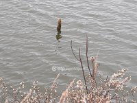 Eladó mezogazdasagi ingatlan