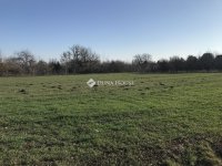 Eladó telek, Polgárdin 16.9 M Ft / költözzbe.hu