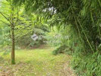 Eladó családi ház, Kistótfalun 44.9 M Ft, 3 szobás