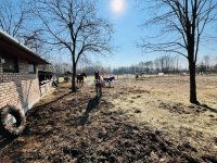 Eladó mezogazdasagi ingatlan