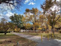 Eladó panellakás, IV. kerületben 76.9 M Ft, 2 szobás