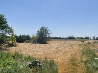 Eladó mezogazdasagi ingatlan, Gárdonyban 650 M Ft