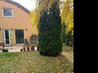 Eladó ikerház, Sén 105.9 M Ft, 4 szobás / költözzbe.hu