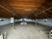 Eladó mezogazdasagi ingatlan, Domaszéken 160 M Ft