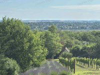 Eladó mezogazdasagi ingatlan