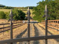 Eladó családi ház, Erdőkertesen 325 M Ft, 5 szobás