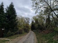 Eladó mezogazdasagi ingatlan