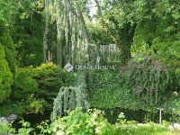 Eladó családi ház, II. kerületben 299 M Ft, 7 szobás