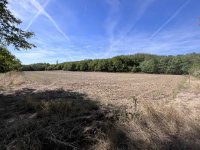 Eladó mezogazdasagi ingatlan, Kéthelyen 44 M Ft