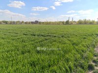 Eladó telek, Szigetszentmiklóson 16.9 M Ft / költözzbe.hu