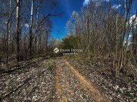 Eladó mezogazdasagi ingatlan, Dabason 120 M Ft