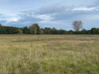 Eladó mezogazdasagi ingatlan