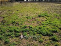 Eladó telek, Balatonvilágoson 43 M Ft / költözzbe.hu