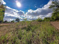 Eladó telek, Bölcskén 2.9 M Ft / költözzbe.hu