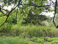 Eladó telek, Szápáron 12.9 M Ft / költözzbe.hu